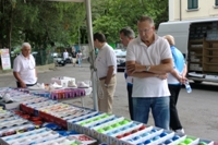 Clicca sulla foto per vedere ingrandimento